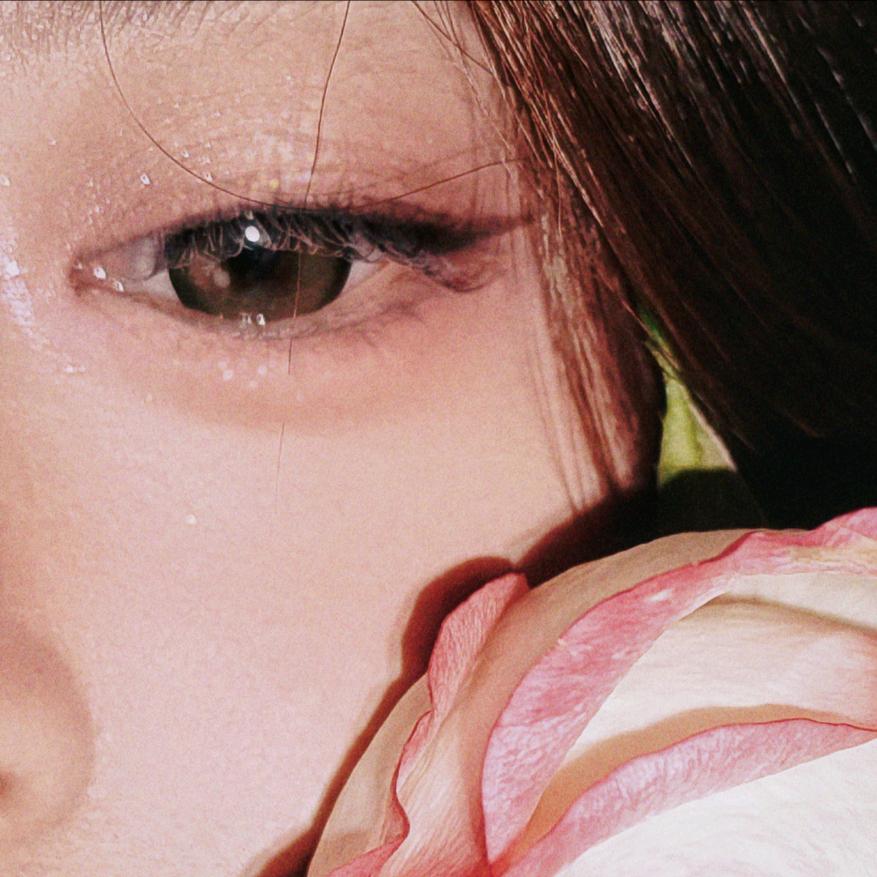 乖毛毛毛毛毛毛毛球ᐝ