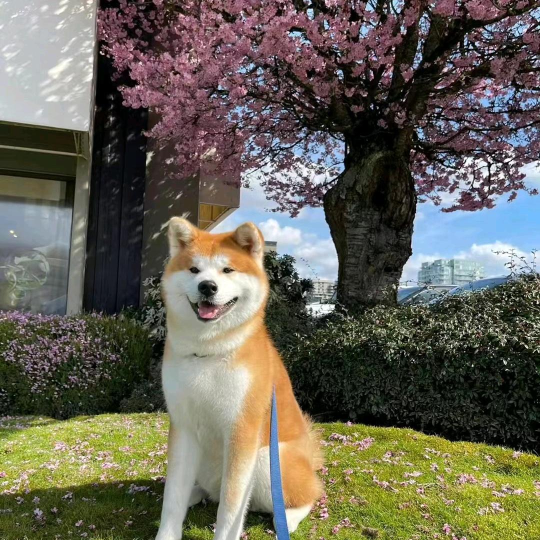 蒋，余生一人走