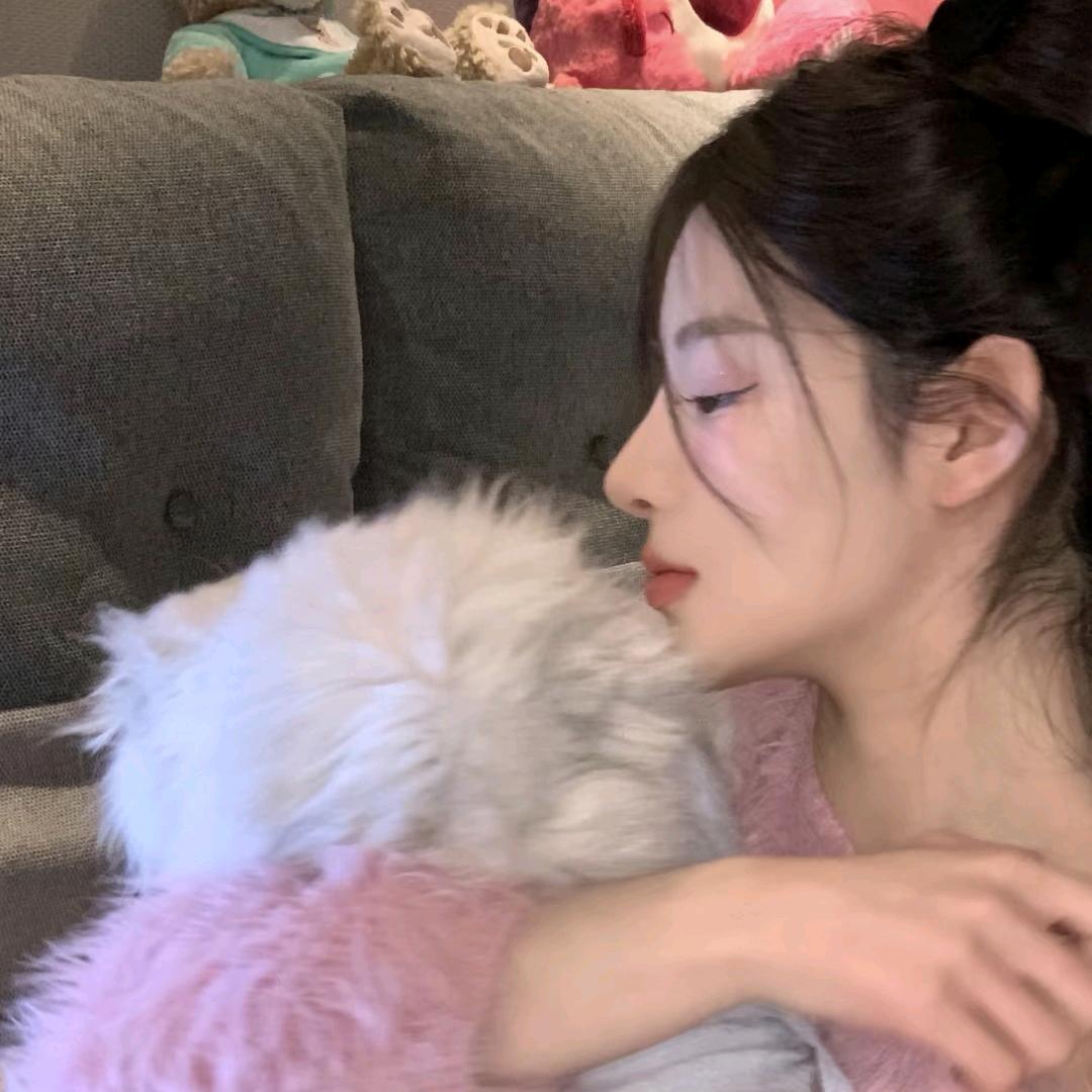 🌸 安琪的十一只喵