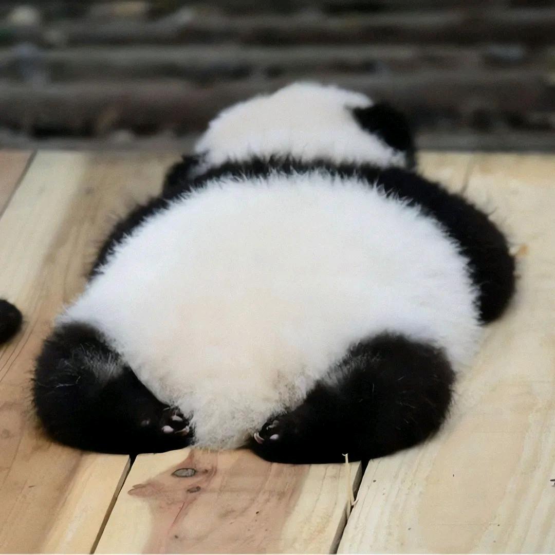 睡不醒