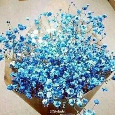 人生可以重来多好