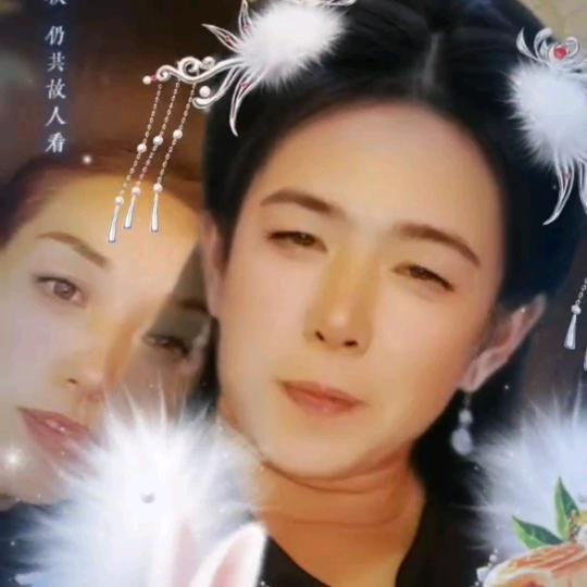 孤单的飞蛾