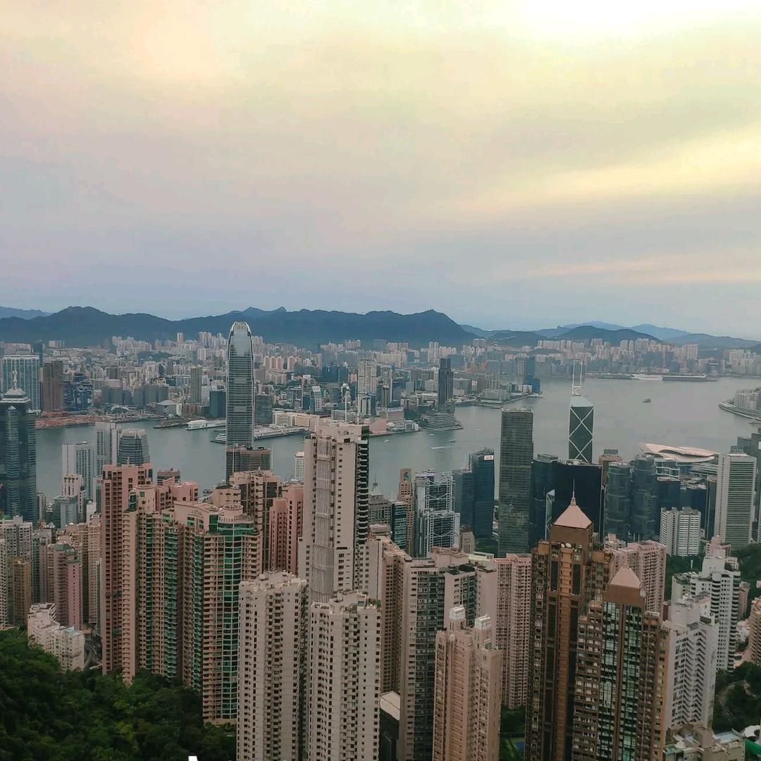 权哥在香港