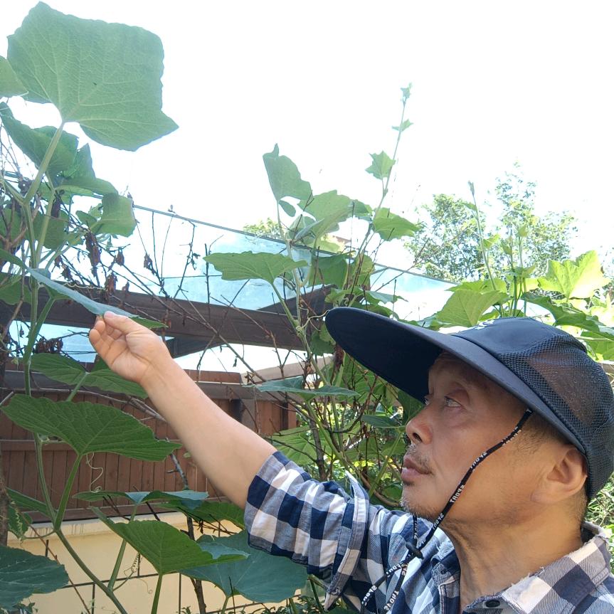 穷游