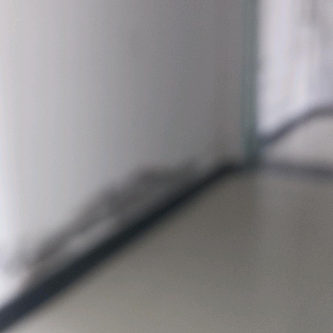 言午