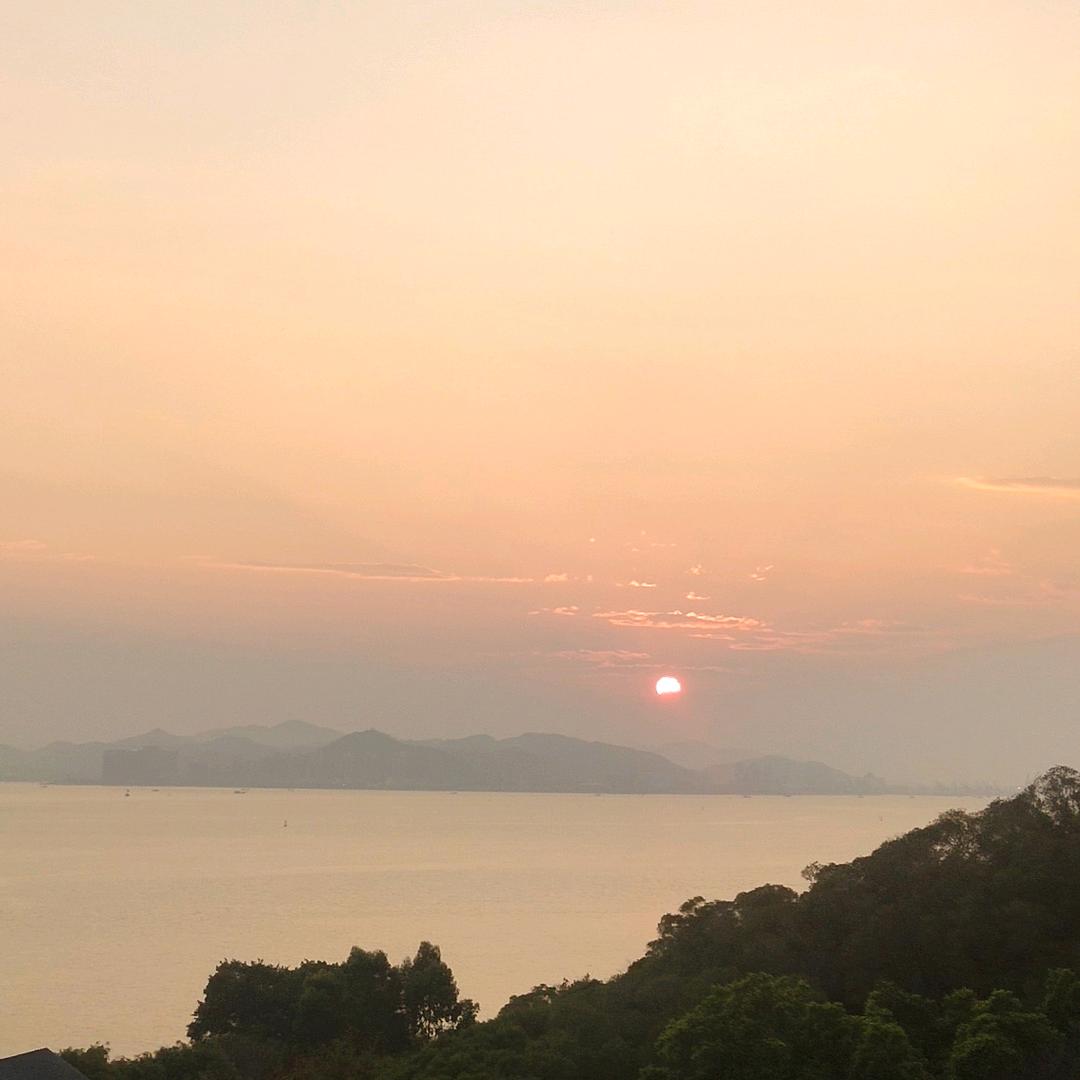 溪锦鲤