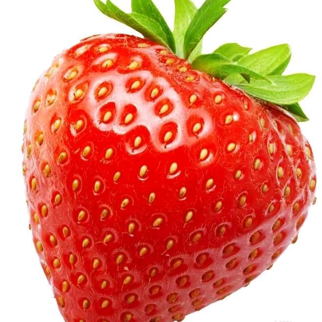 美乐蒂和库洛米