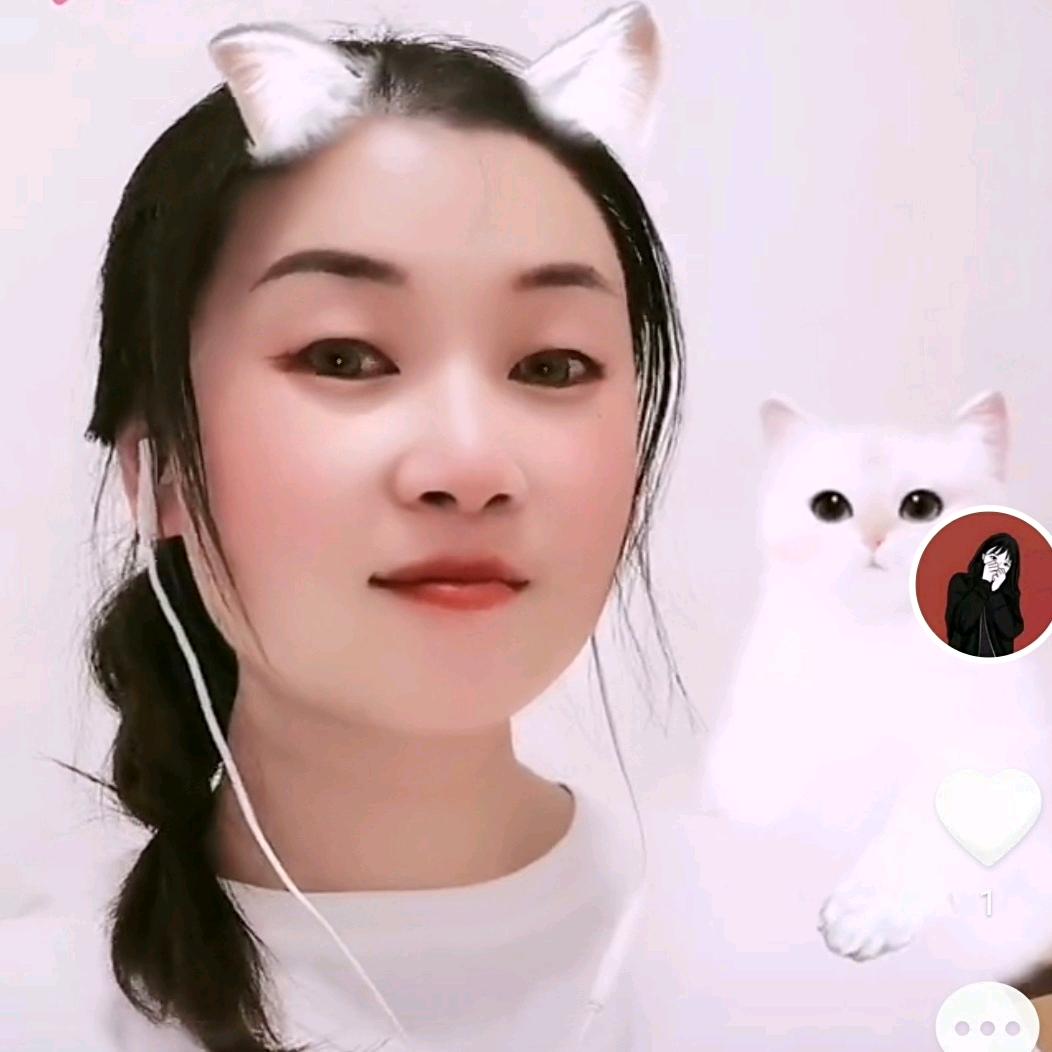 桔子老师🍊