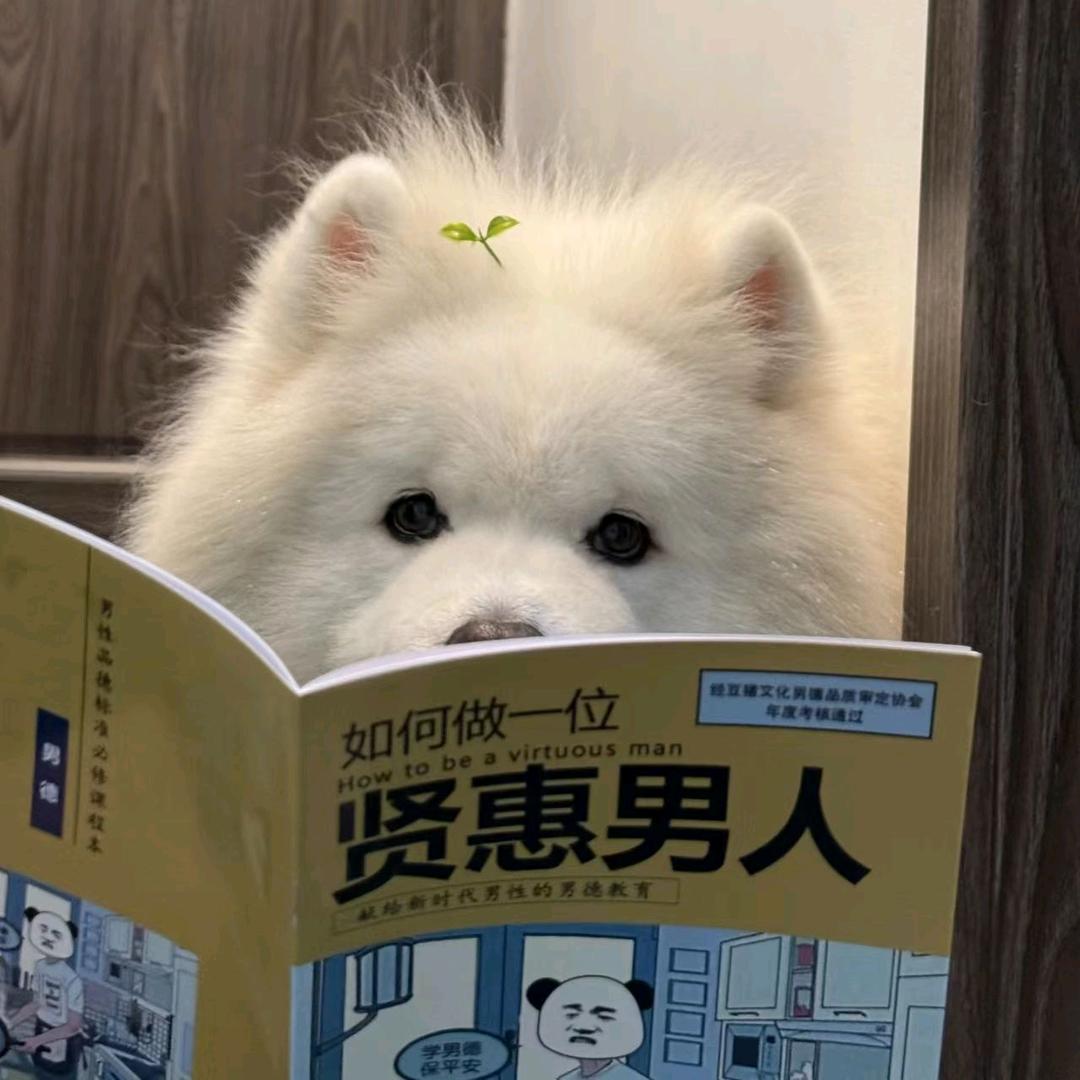 快乐小狗