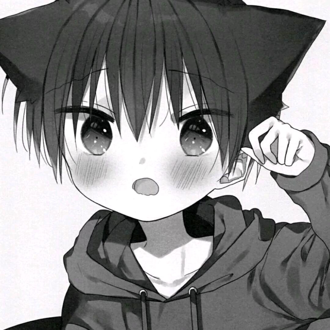 小森不迷路