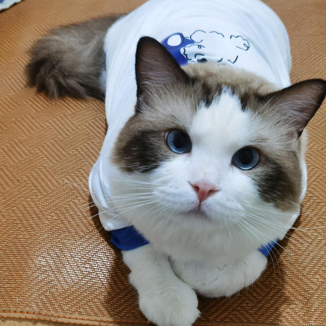 一口豆芽菜