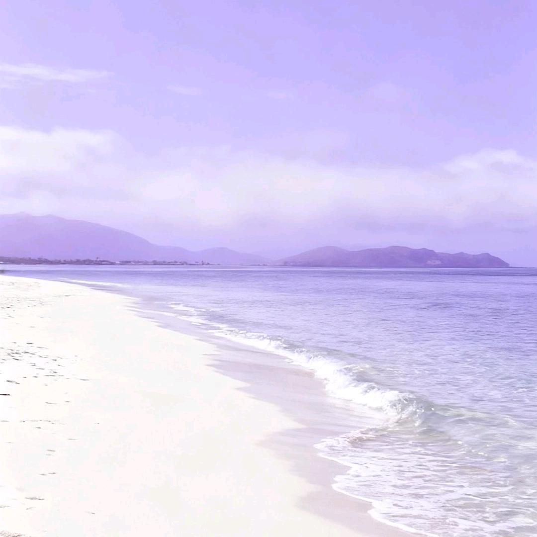 浅
