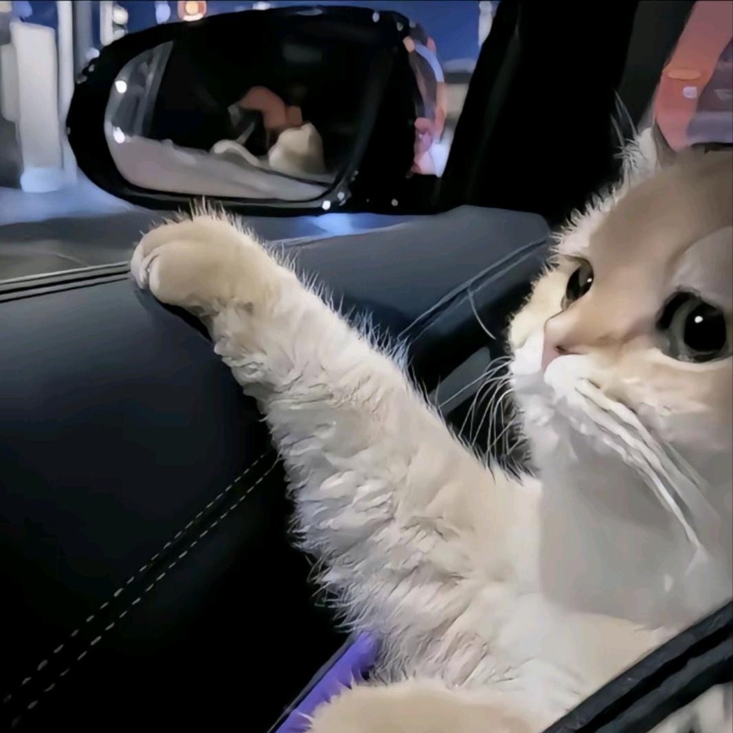 𝓼𝓱𝓪𝓷𝓰𝓾𝓸𝓯𝓾