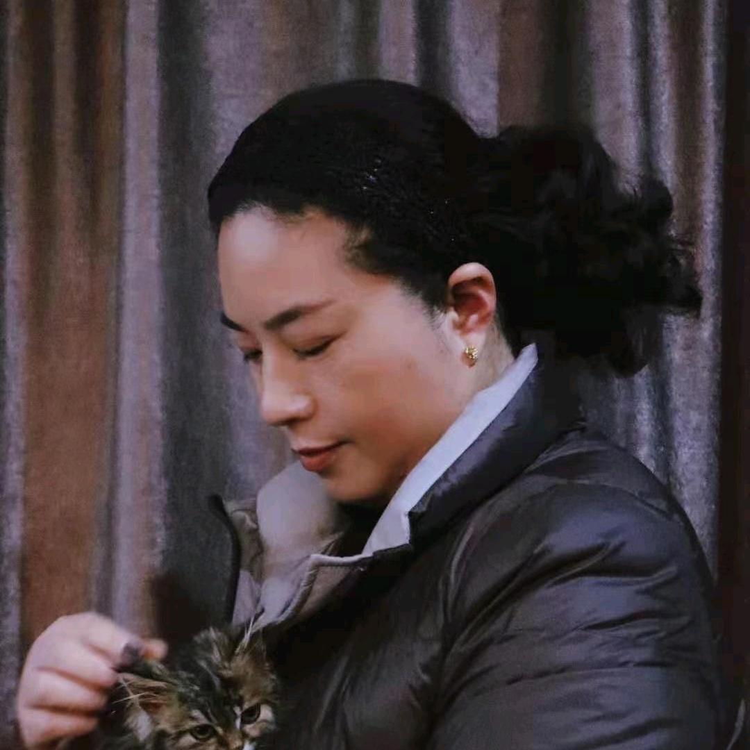 耳东陈-