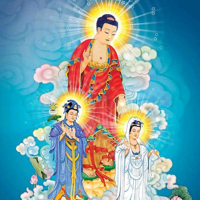 🌹花仙弥🌹