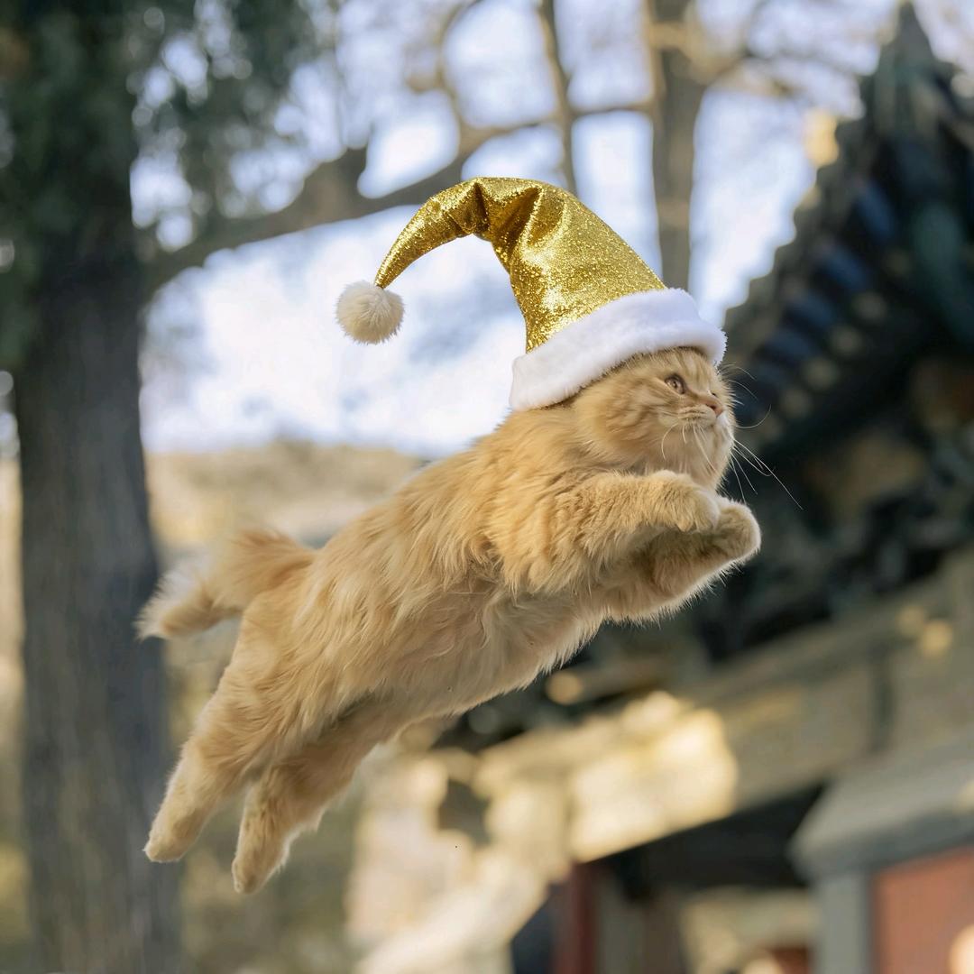 火火火火～颜色不一样的烟火