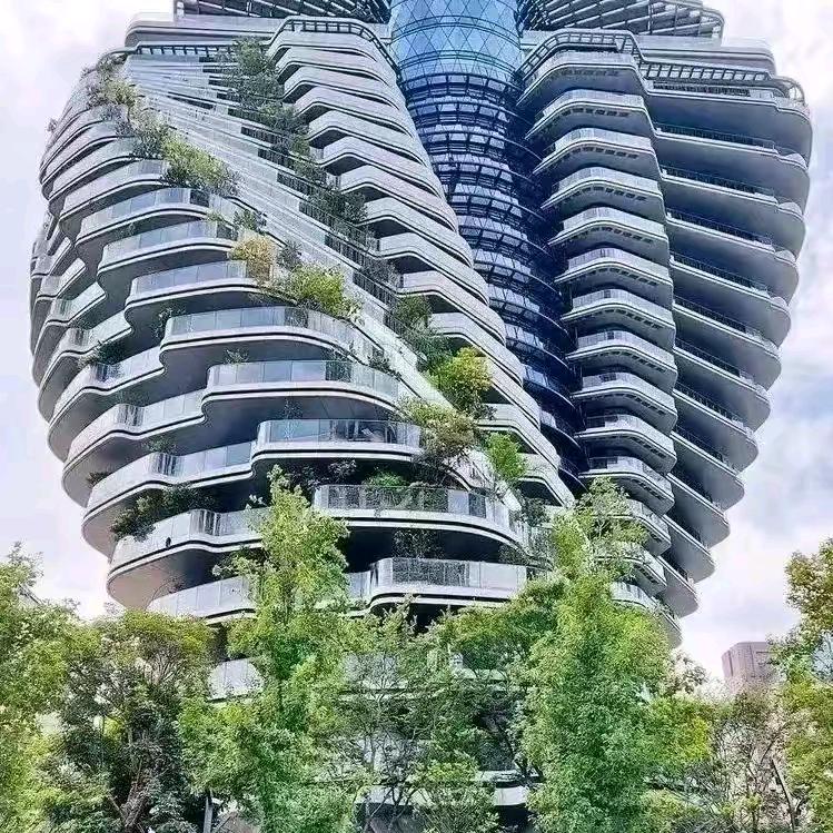 🎄往事清零🍁