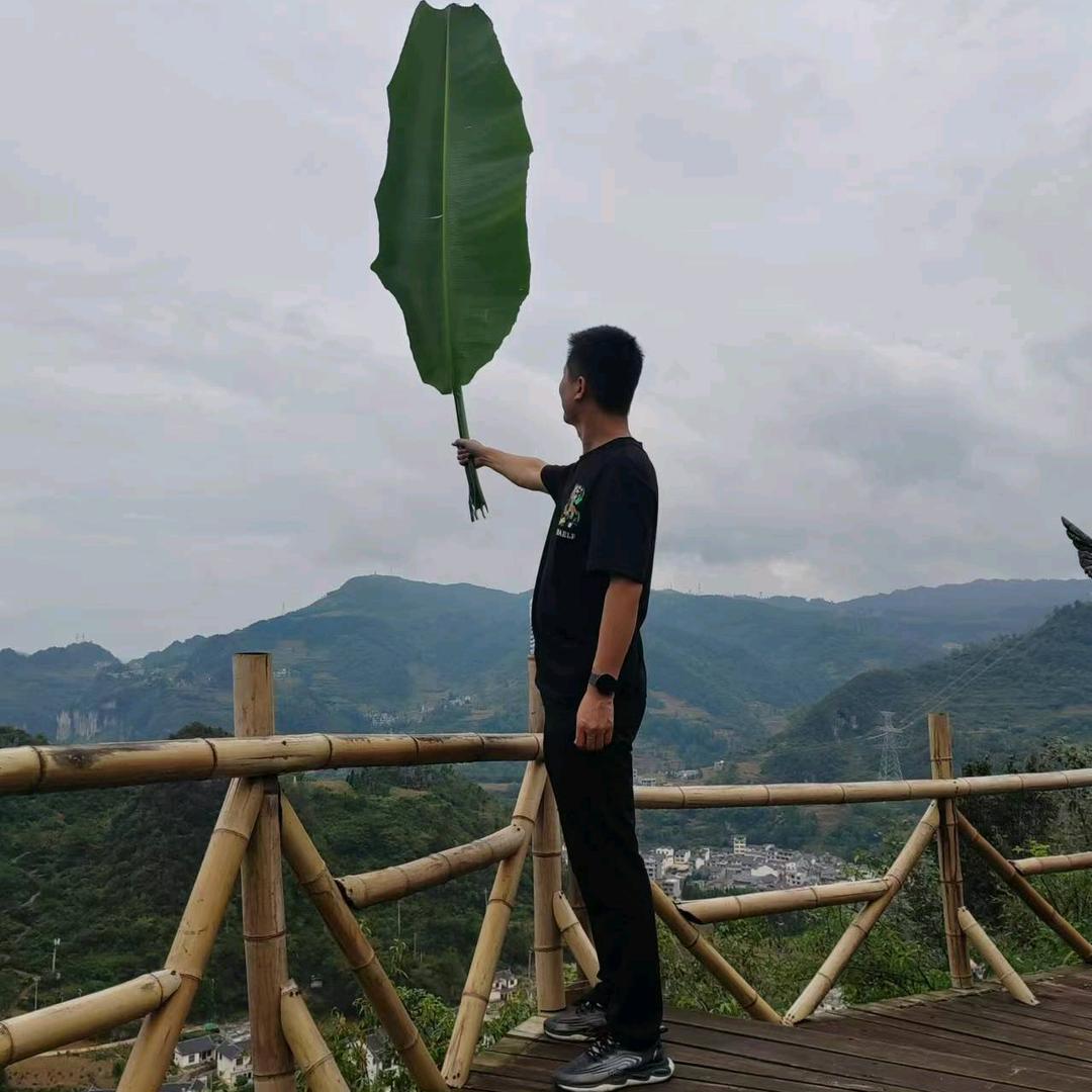 岗