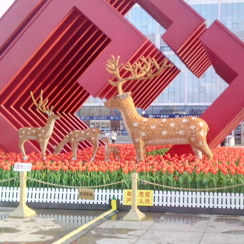 一路向阳