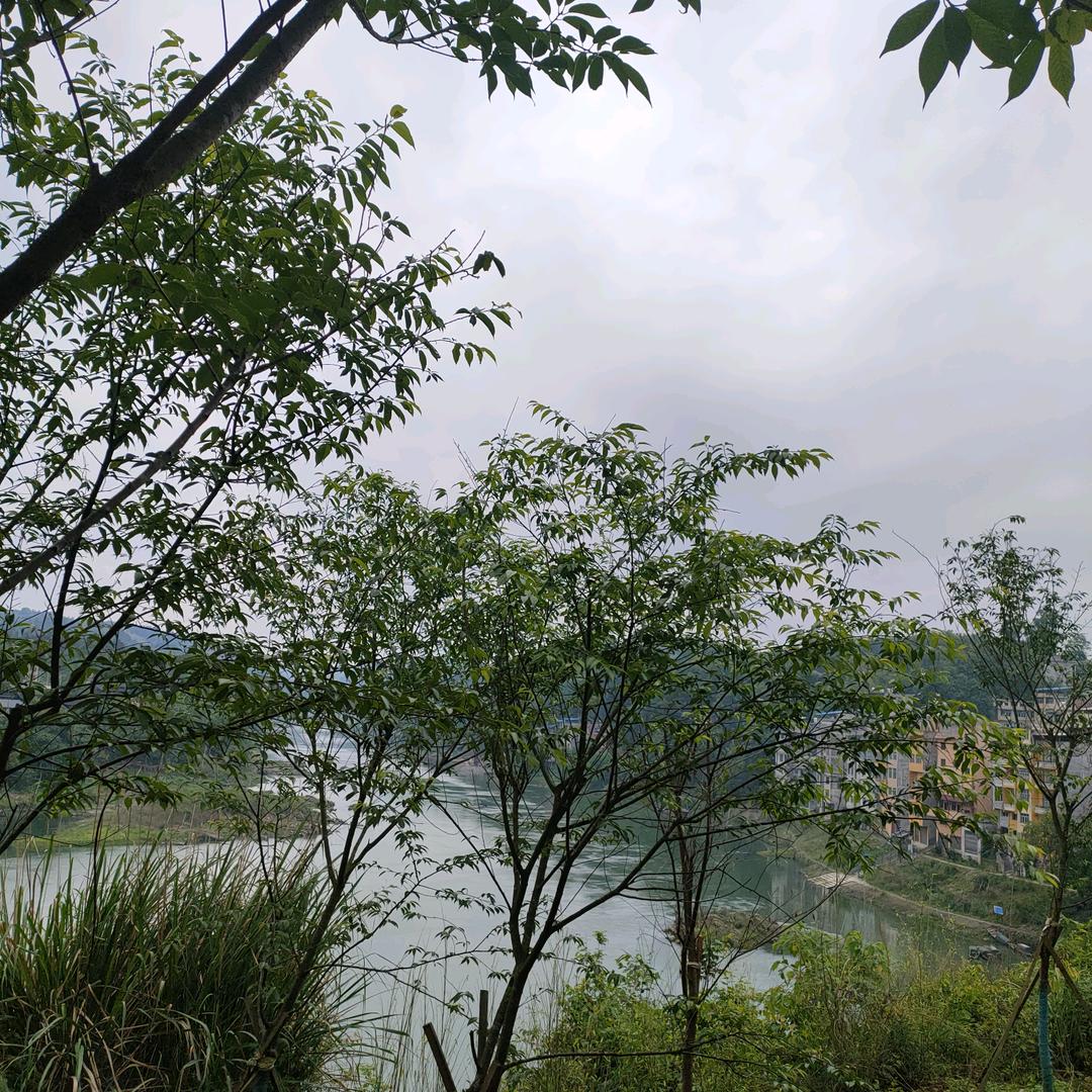间间
