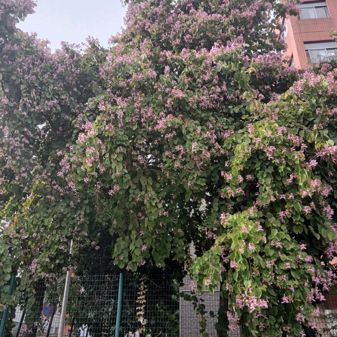 谁能读懂我的心