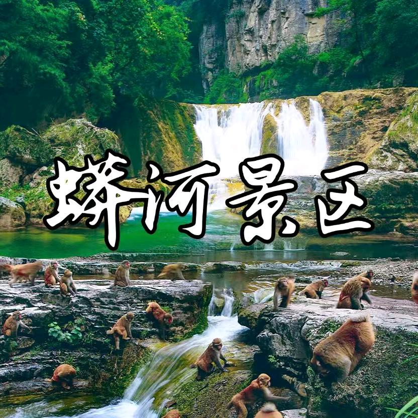 蟒河景区帅保管