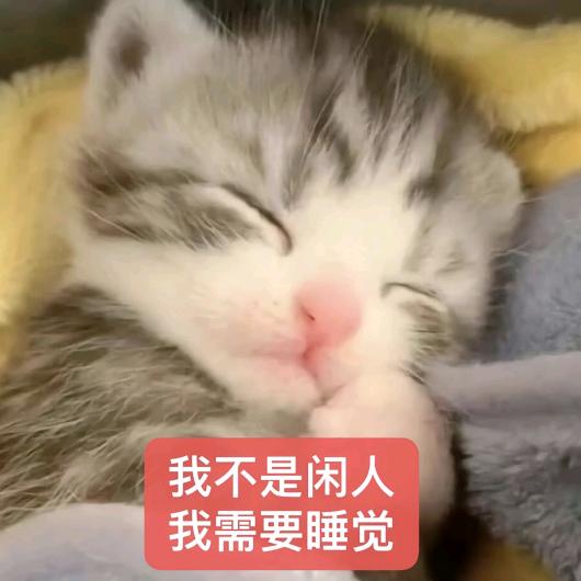 天菜小彤酱