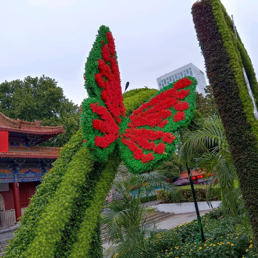 @孟想成真