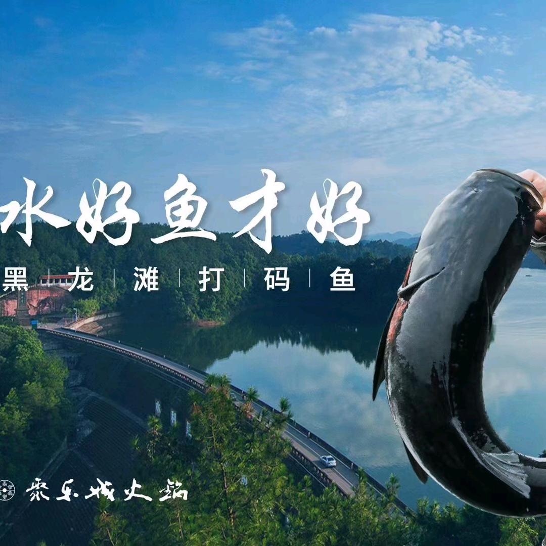 聚乐城火锅仁寿总店