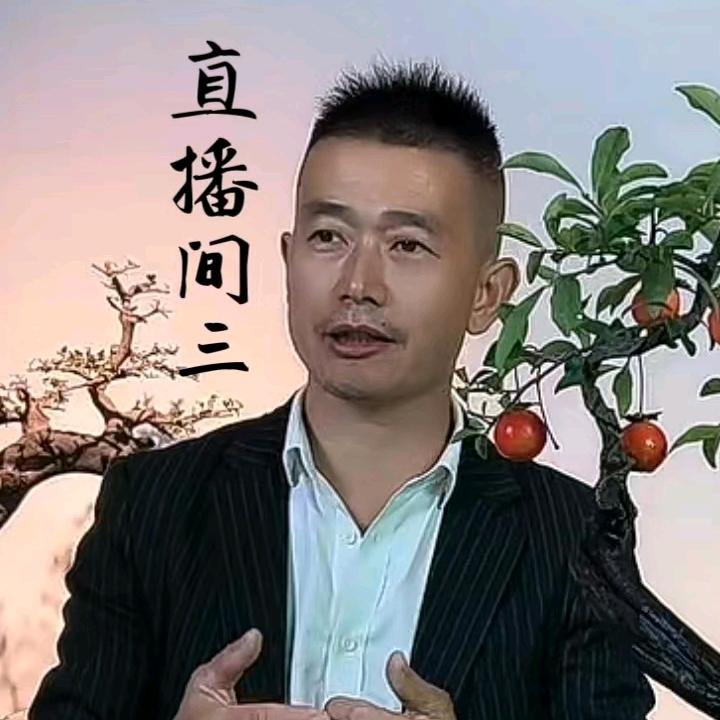 小马哥庭院景观