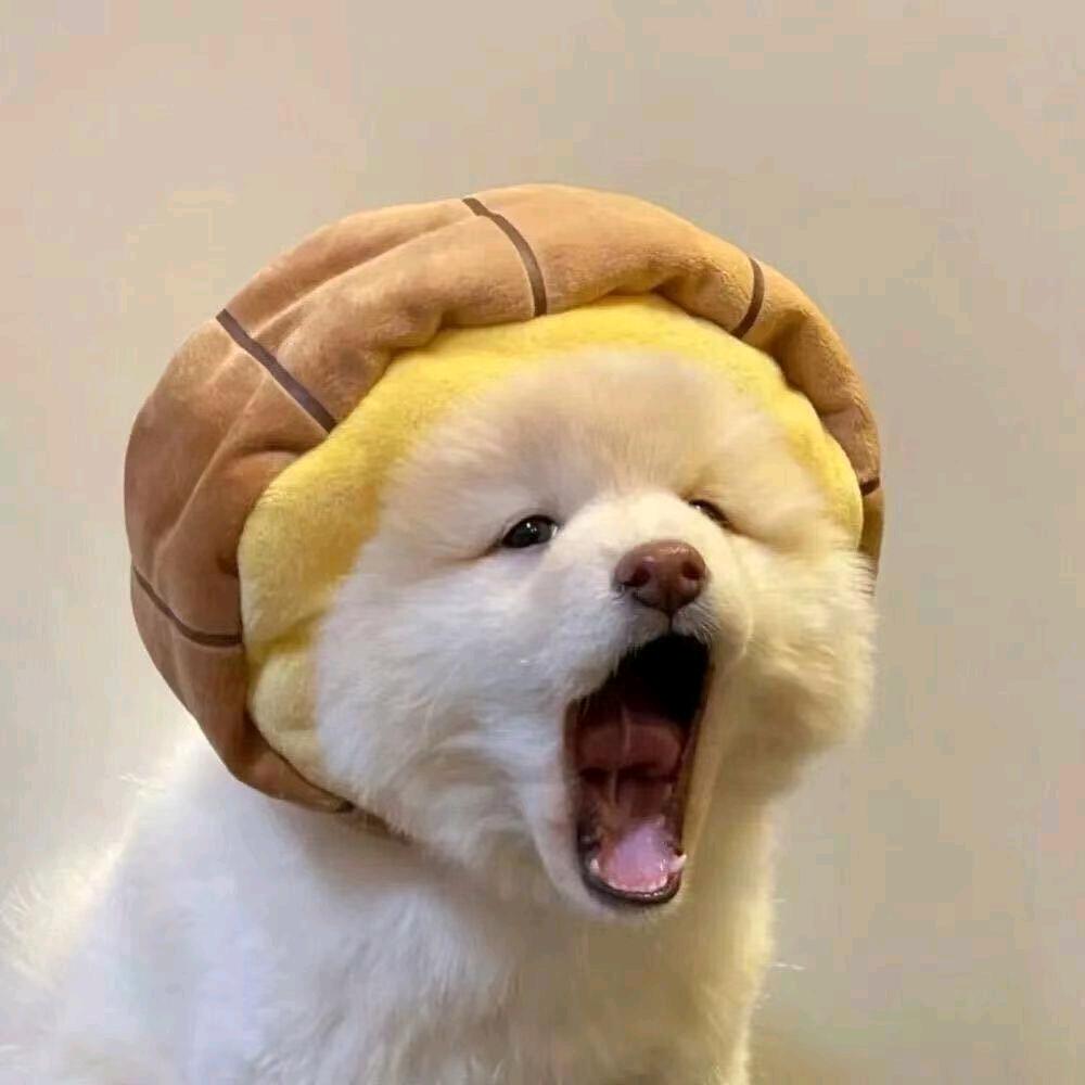 可乐泡枸杞头像