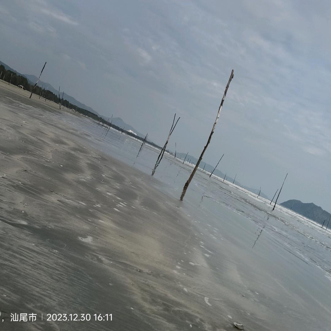 爱相随