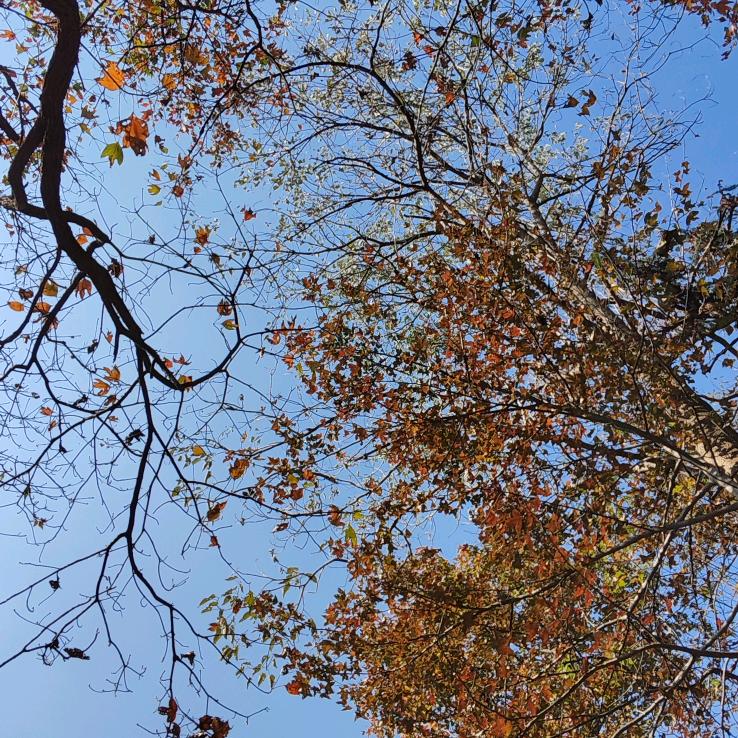 小张     钓鱼   🎤