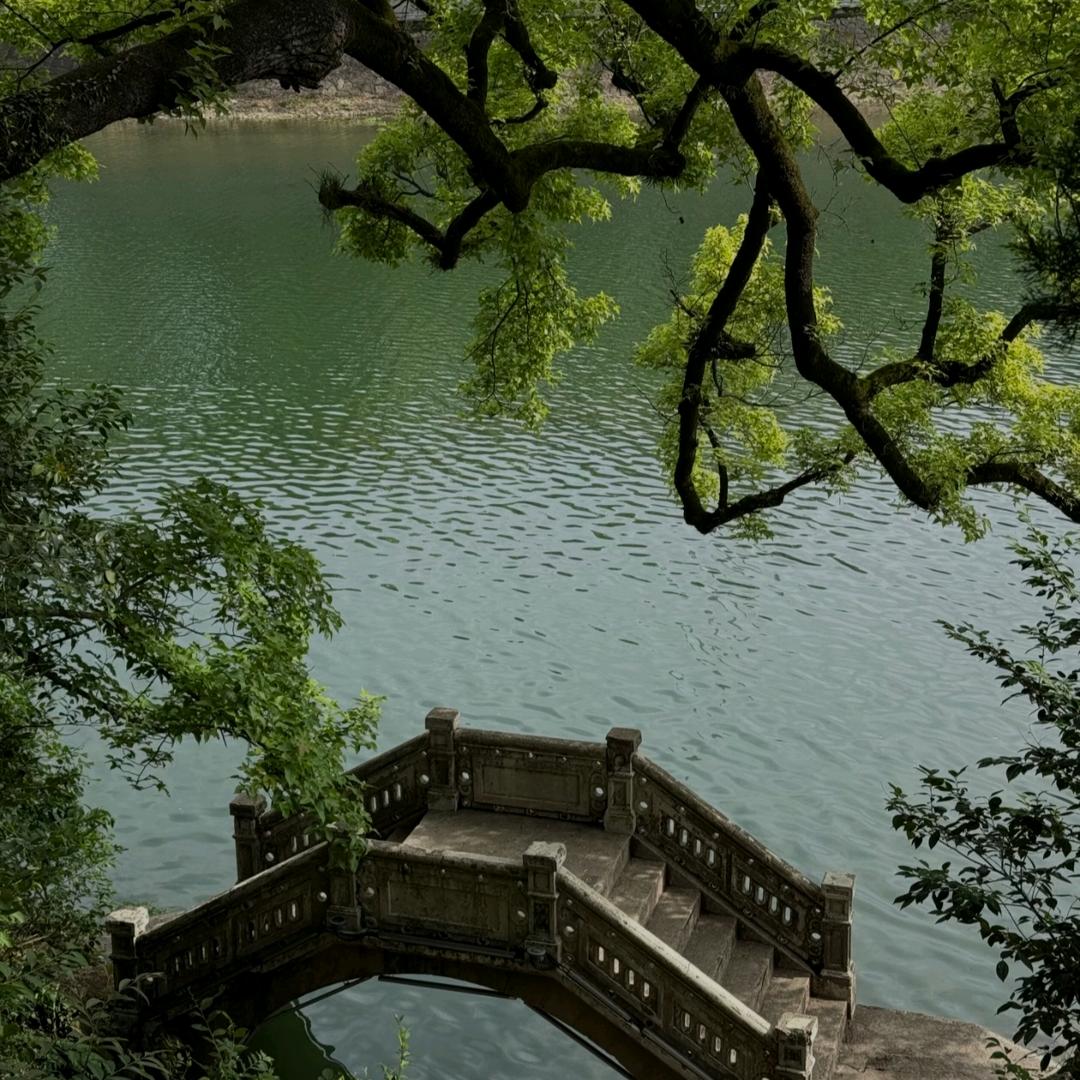 顾言.