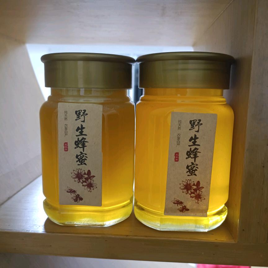 野蜂"米″出圈