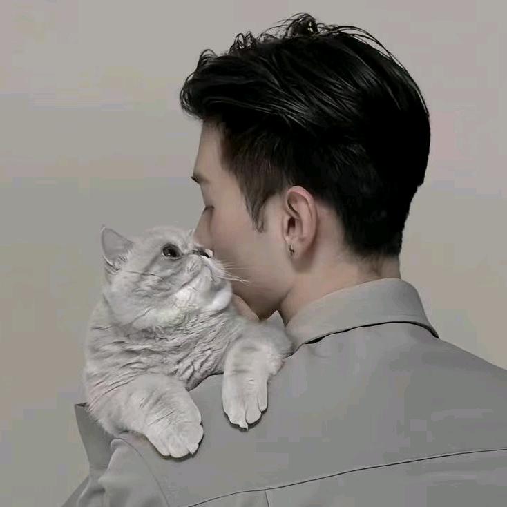 胡胡💋