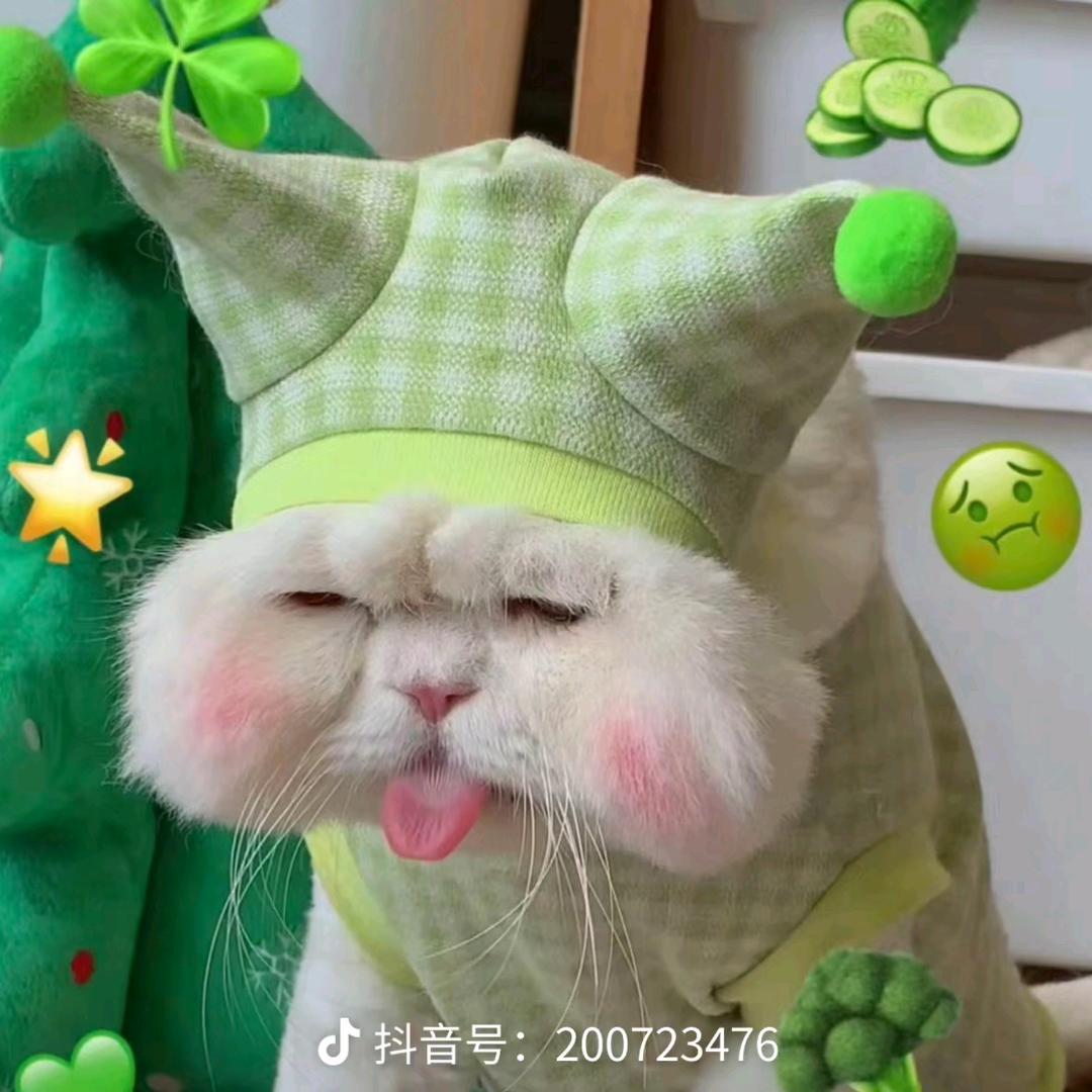 江江江砚（小心坏女人版）