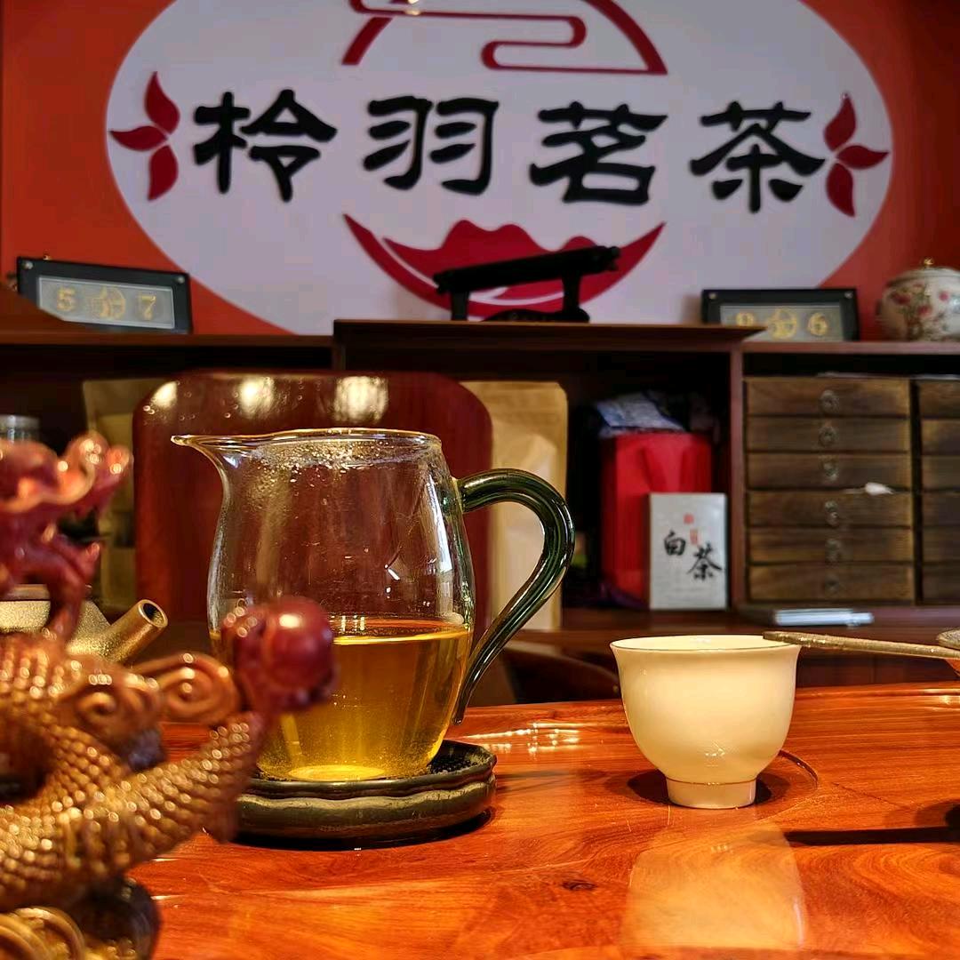 赋予（开播号在主页20：10开播）