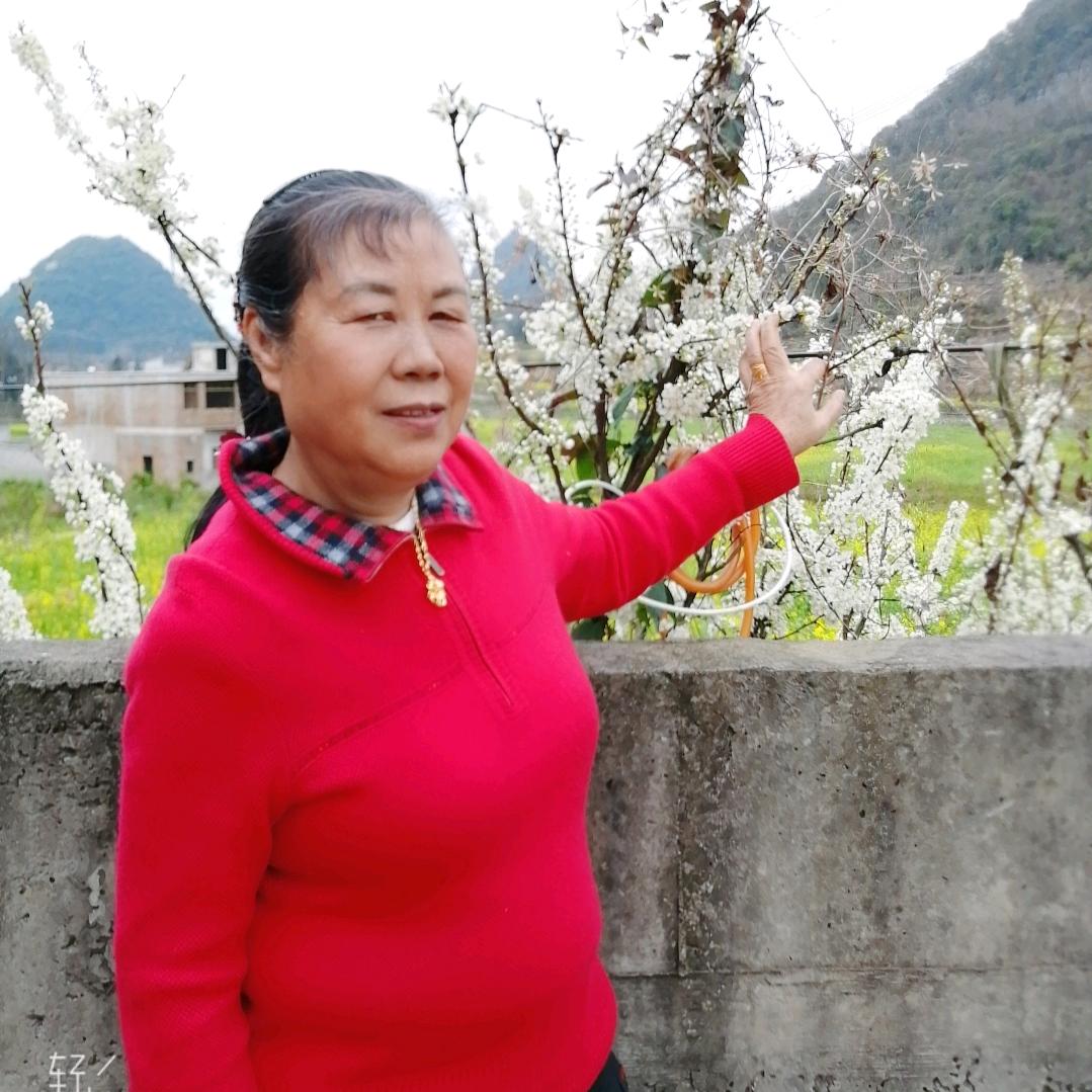 心想事成为朋友