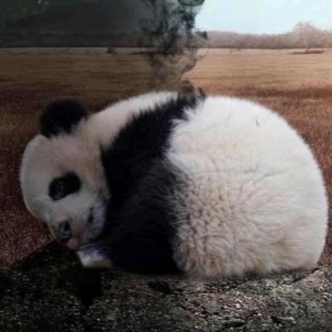 浩尘