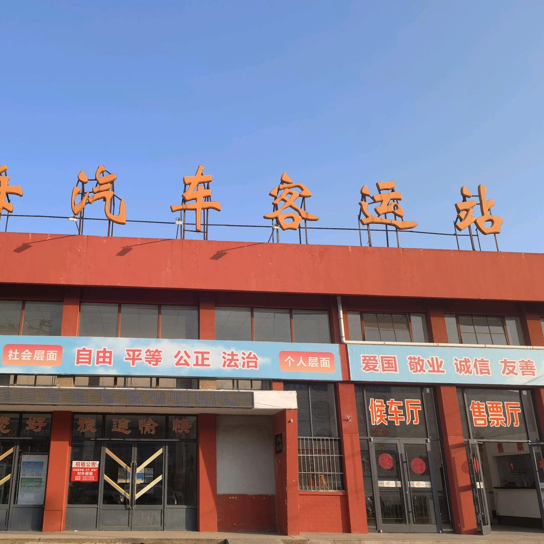 专业点赞