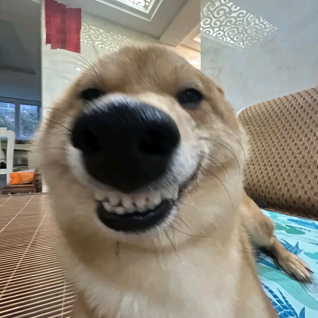 种一个๑°3°๑