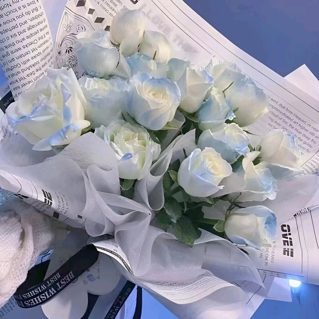 菊花姐姐