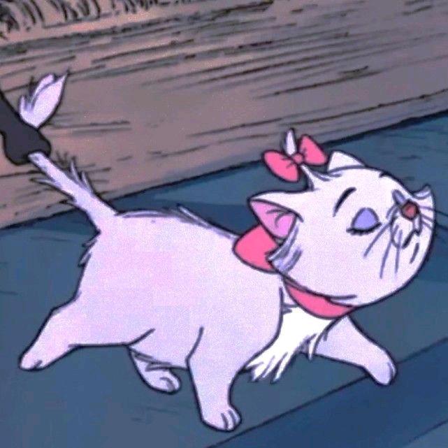 小张的小余