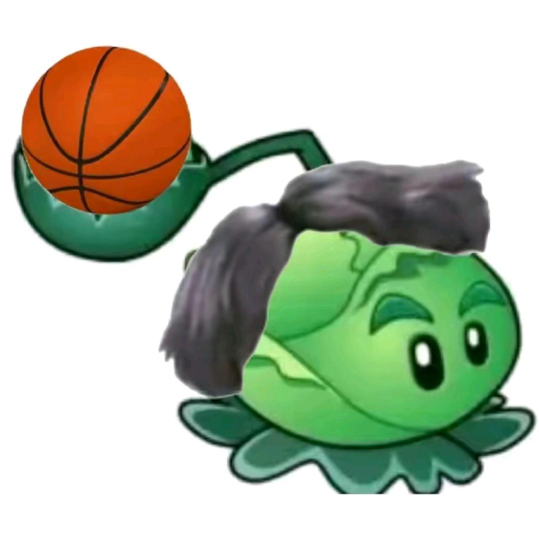AAA黑人批发