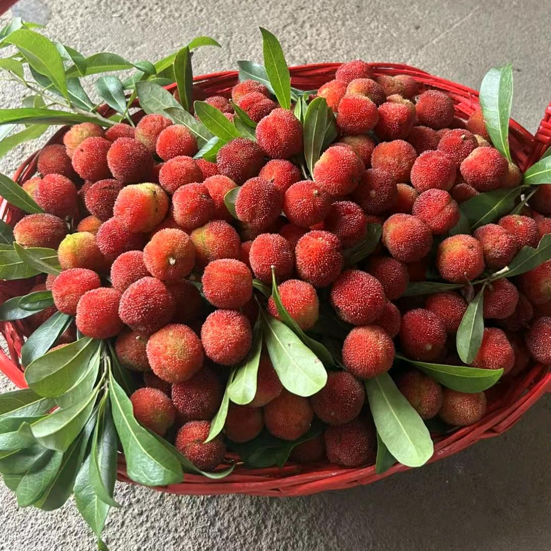 曾家女小辣椒🌶