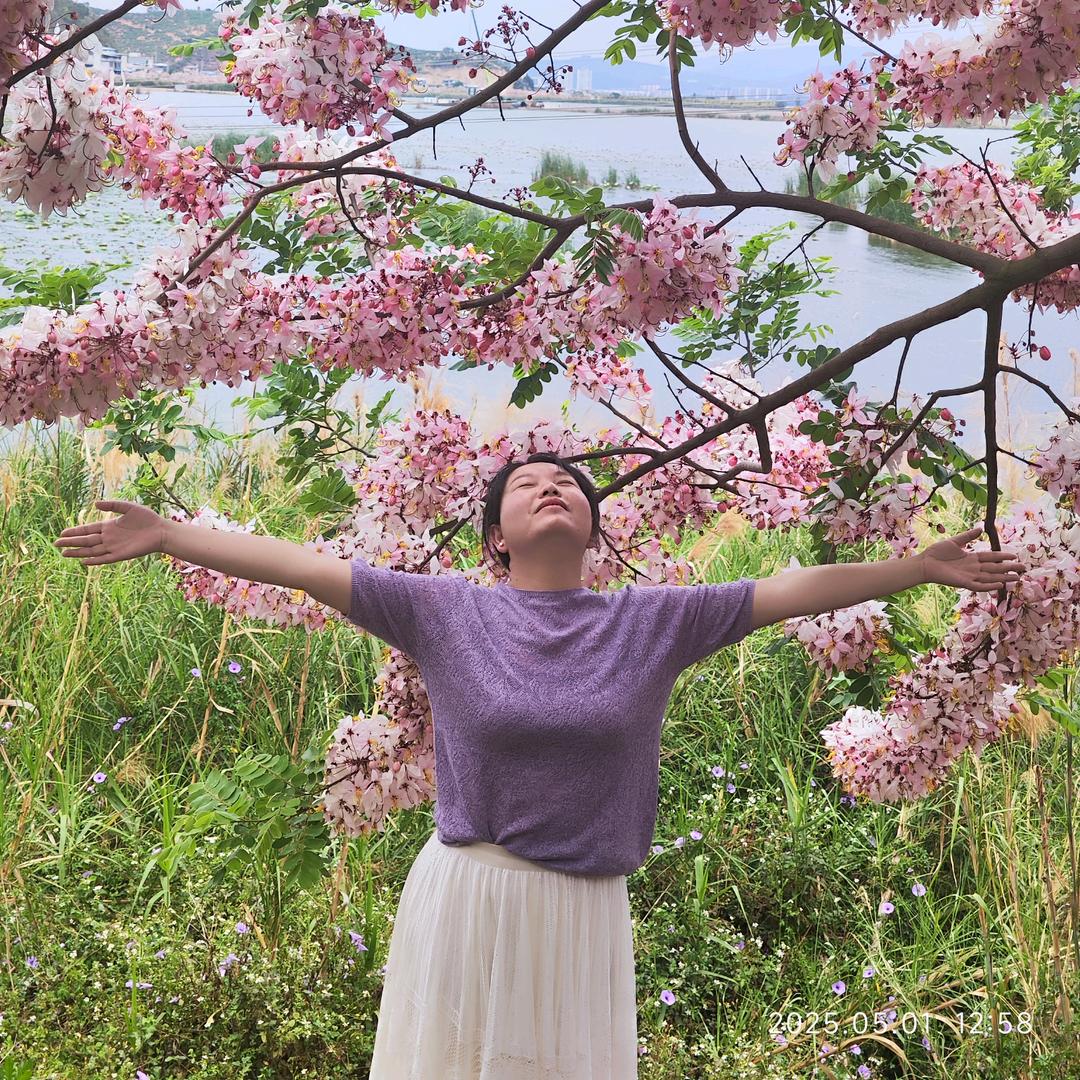 安然自若🌻🌻🍀🍀