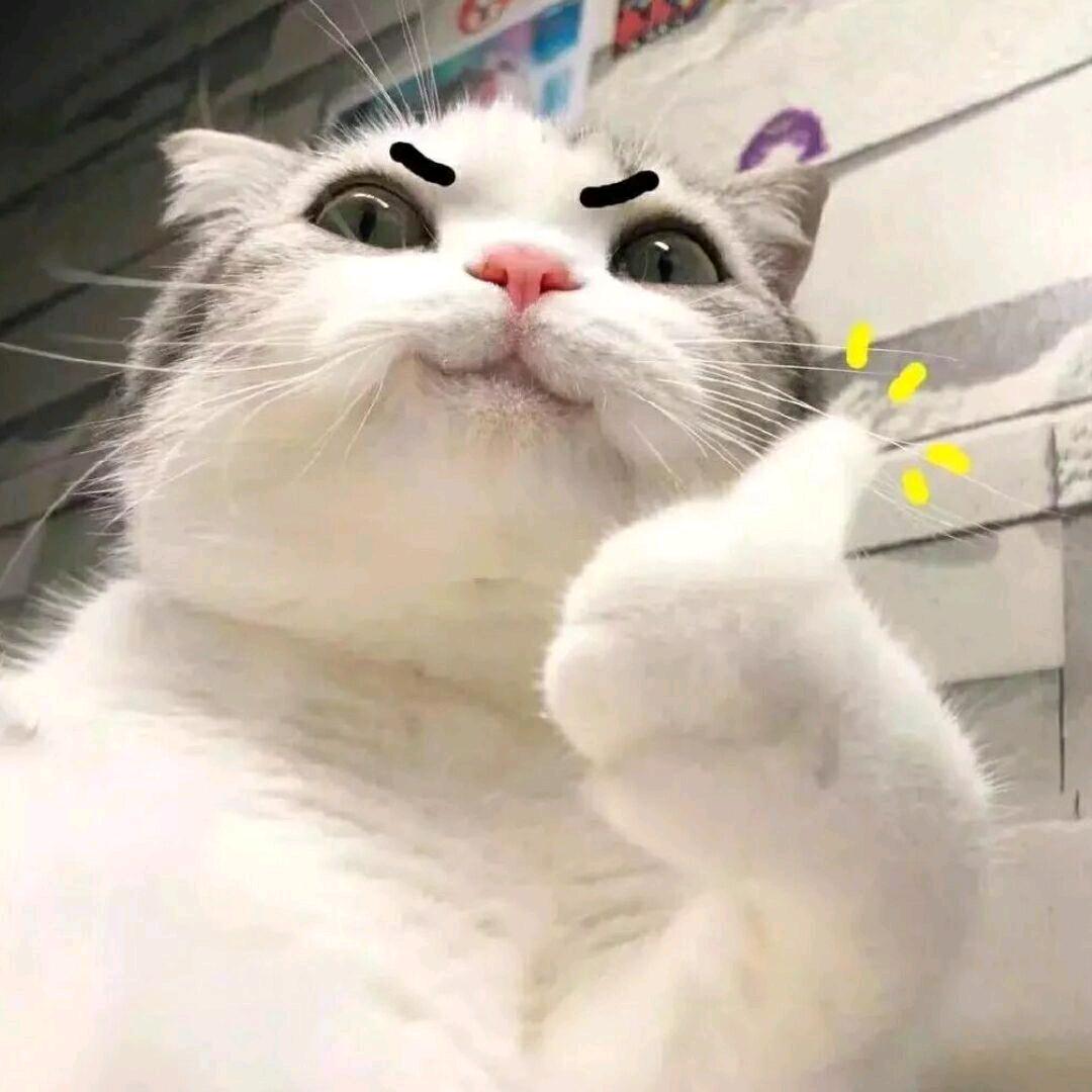 忧郁的小猫