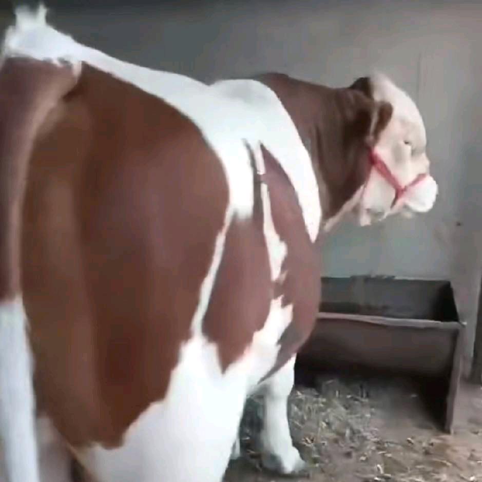 有缘千里来相会