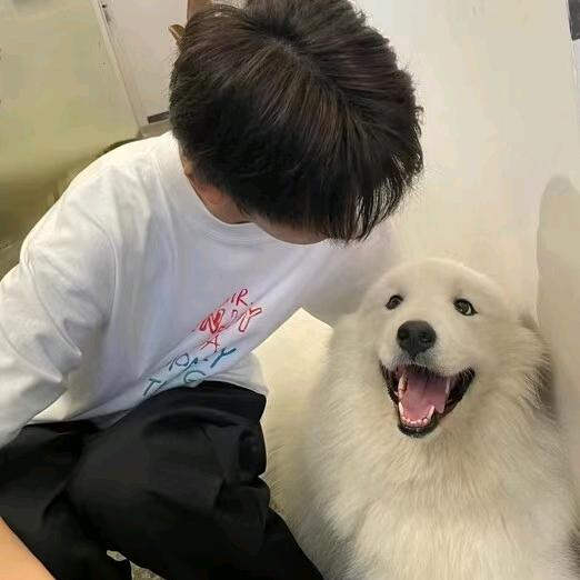 皮